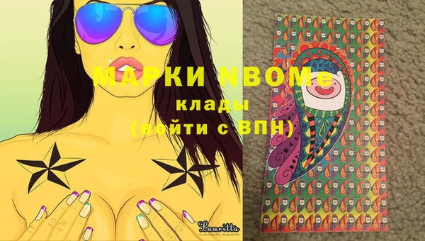 соль ск Богородицк