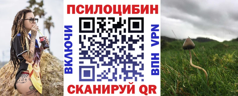 Псилоцибиновые грибы GOLDEN TEACHER  Ковылкино 